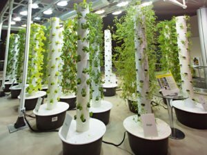 vertical farming